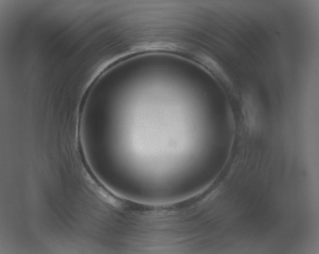 X0000053071228200507111210
