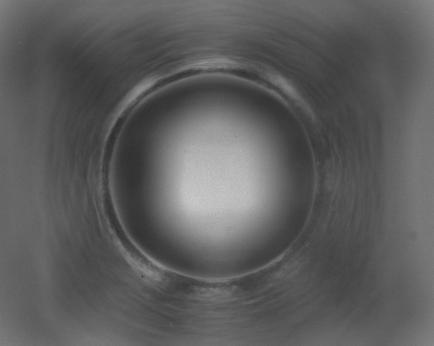 X0000053071229200507111210