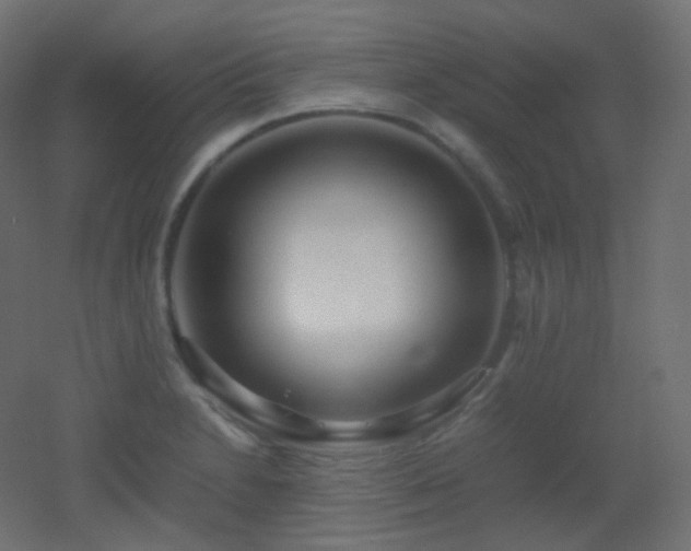 X0000053071230200507111210