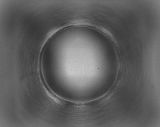 X0000053071231200507111210