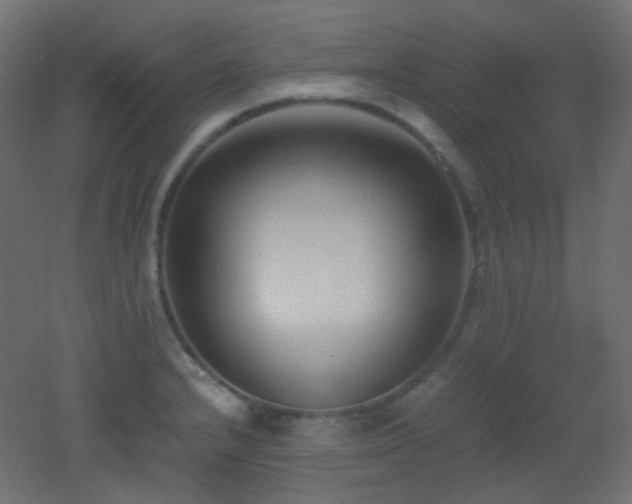 X0000053071232200507111210