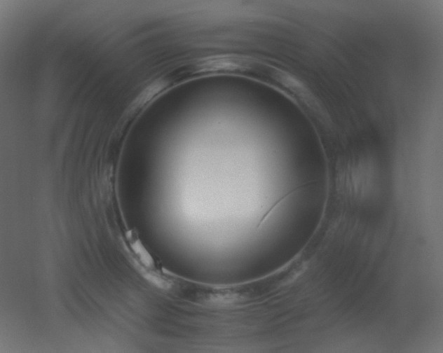X0000053071233200507111210