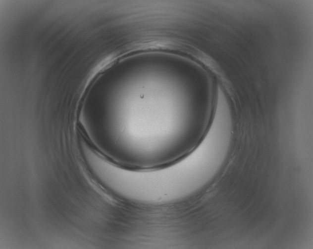 X0000053071234200507111210