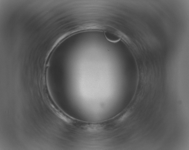 X0000053071236200507111210