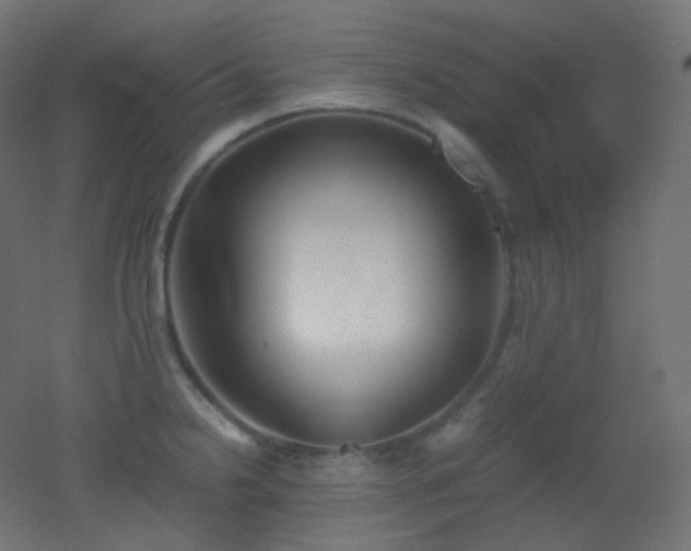 X0000053071238200507111210