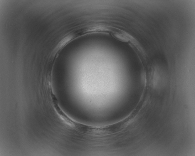 X0000053071241200507111210