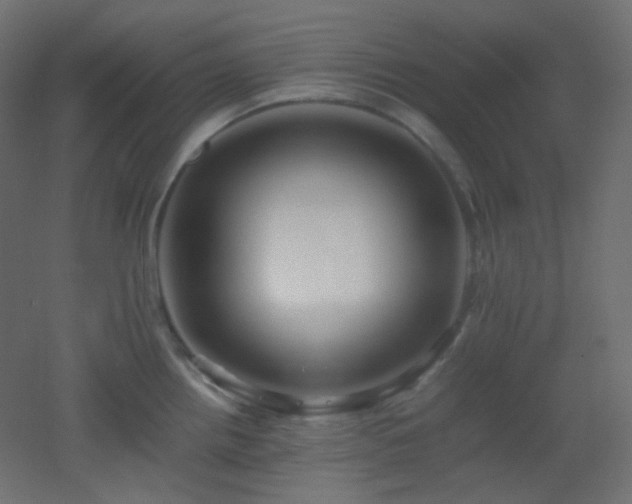 X0000053071242200507111210