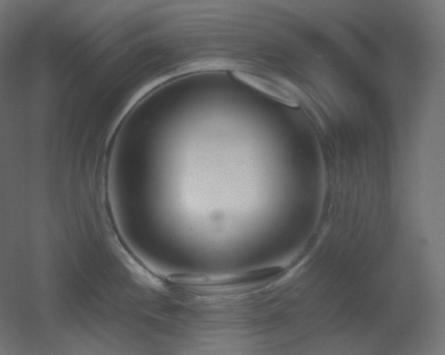 X0000053071244200507111210