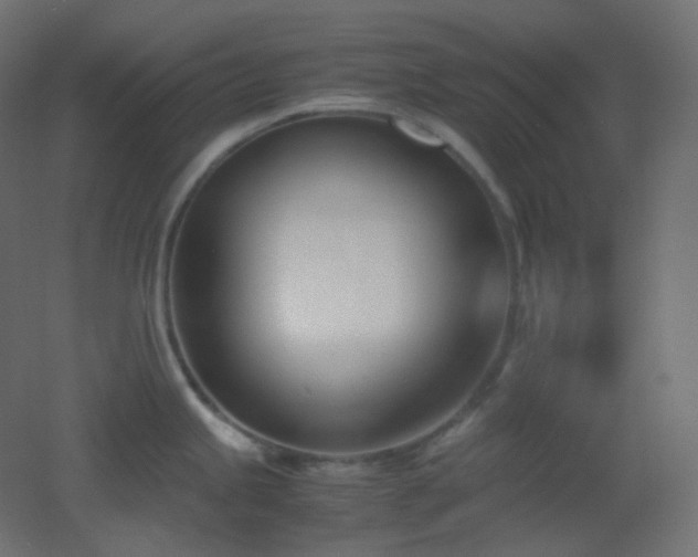 X0000053071245200507111210