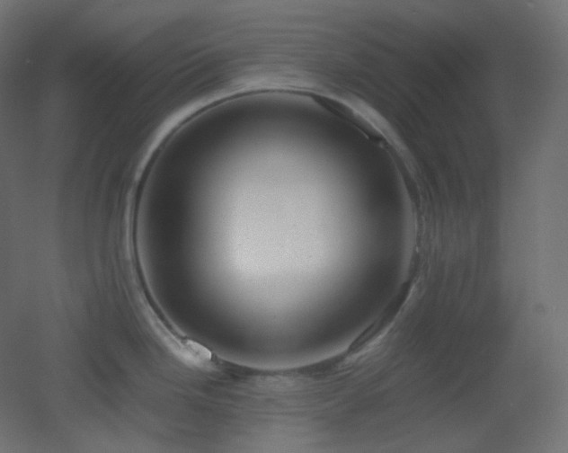 X0000053071246200507111210