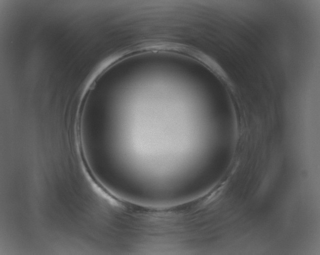 X0000053071247200507111210