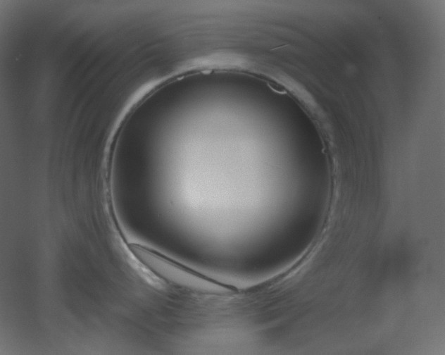 X0000053071248200507111210