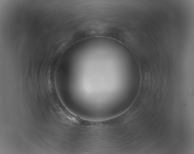 X0000053071250200507111209