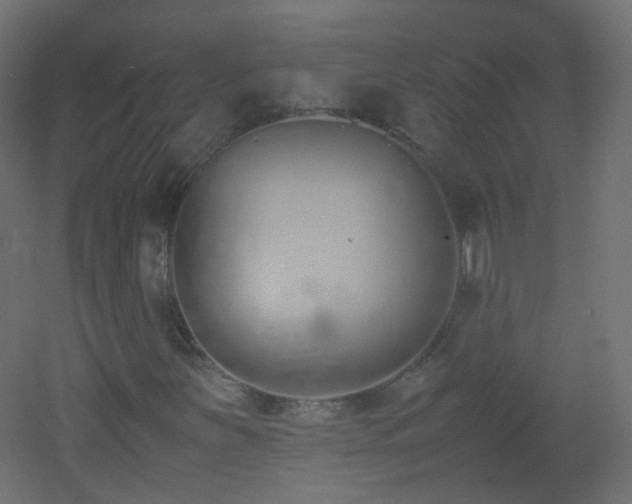 X0000053071251200507111209
