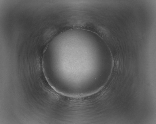 X0000053071252200507111209