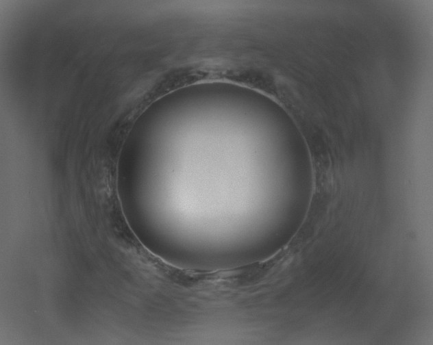 X0000053071253200507111209
