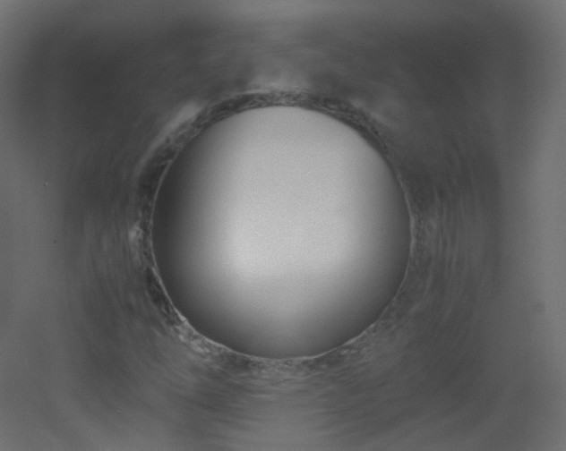 X0000053071254200507111209