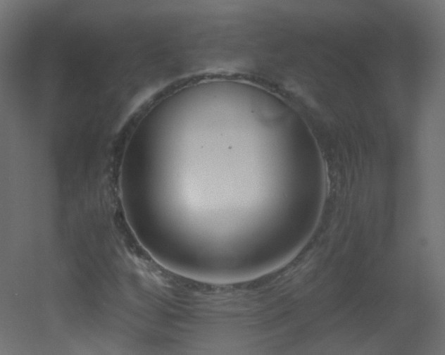 X0000053071256200507111209