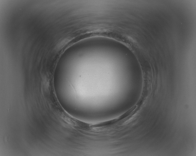 X0000053071257200507111209