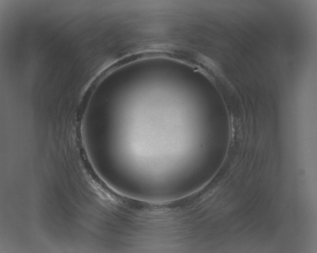 X0000053071260200507111209