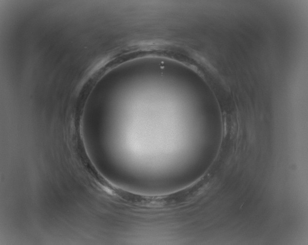X0000053071261200507111209