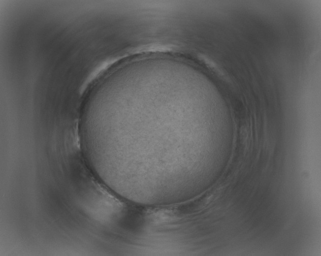 X0000053071262200507111209