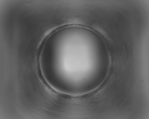 X0000053071264200507111209