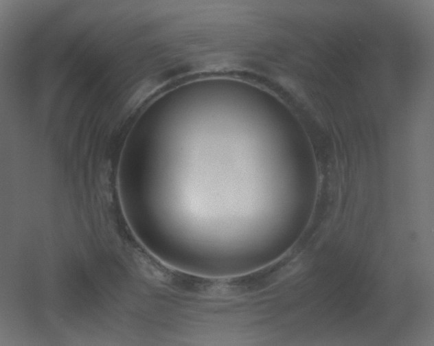 X0000053071265200507111209