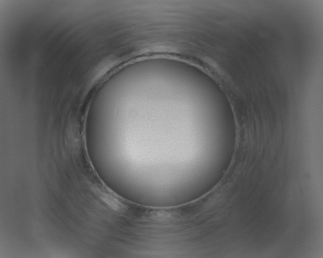 X0000053071266200507111209