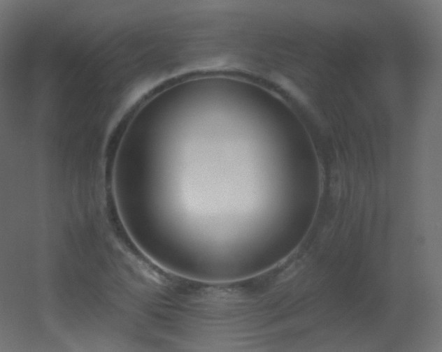 X0000053071270200507111209