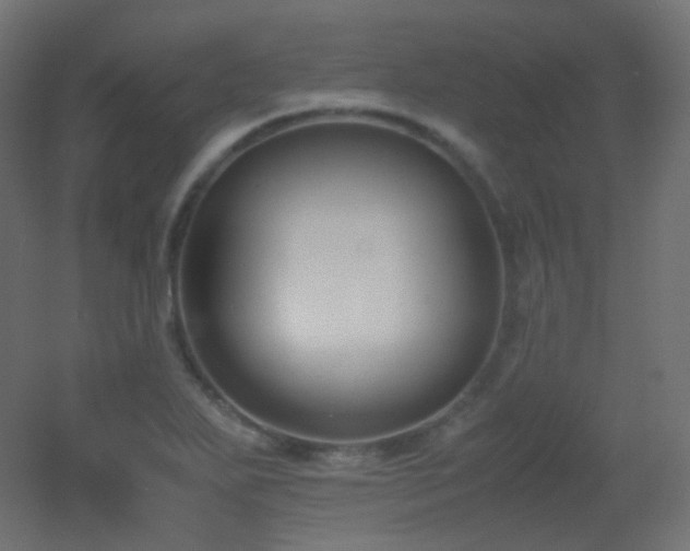 X0000053071271200507111209