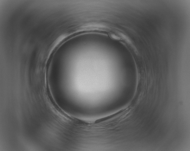 X0000053071275200507111209