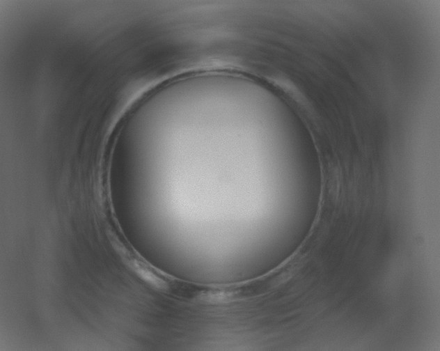 X0000053071278200507111209