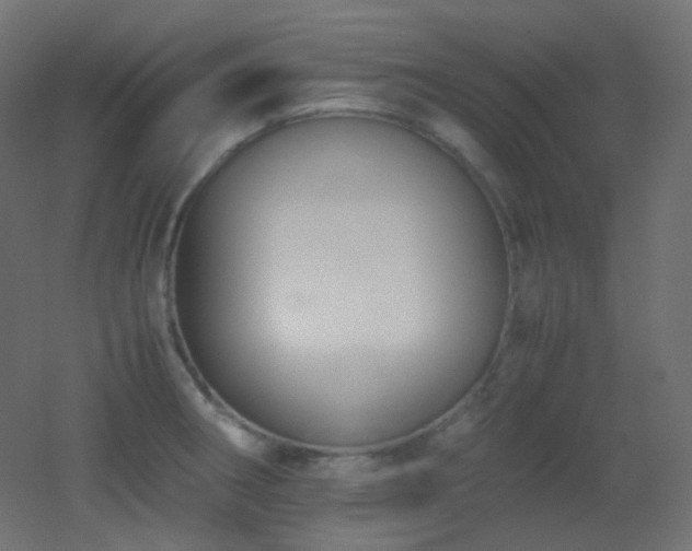 X0000053071282200507111209