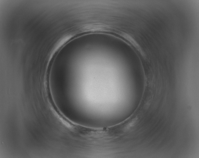 X0000053071285200507111208