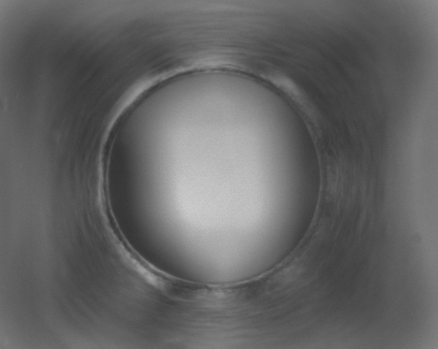 X0000053071286200507111208