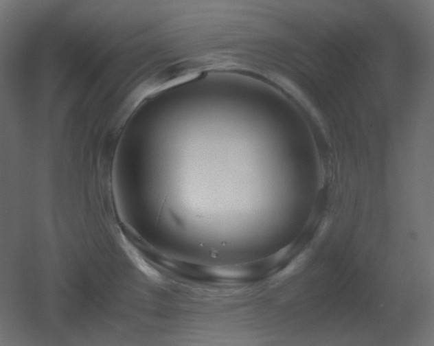 X0000053071289200507111208