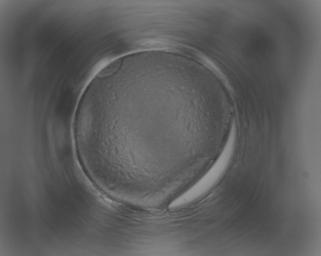 X0000053071291200507111208