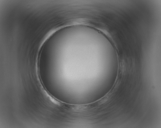 X0000053071294200507111208