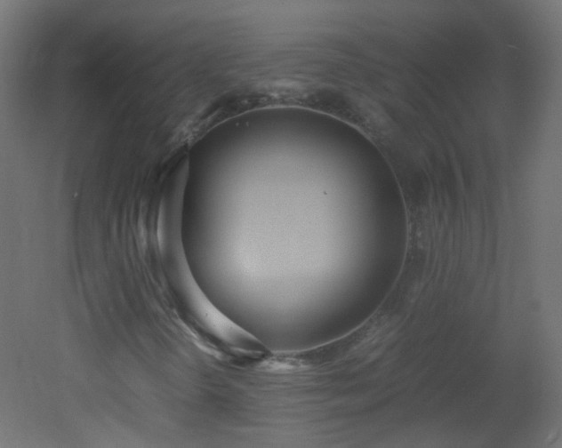 X0000053071298200507111207