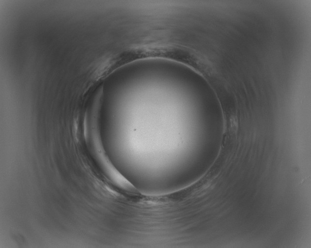 X0000053071300200507111208