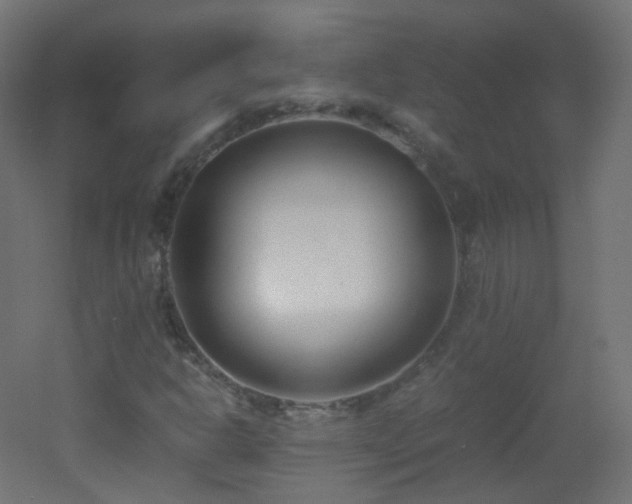 X0000053071302200507111208