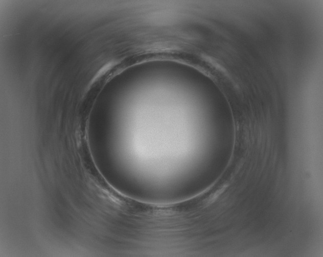 X0000053071306200507111208