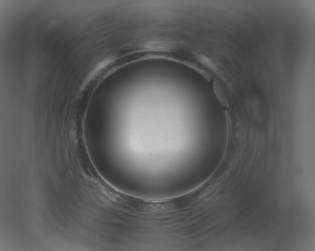 X0000053071307200507111208