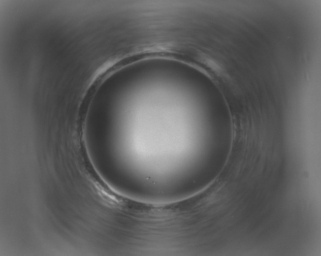 X0000053071308200507111208