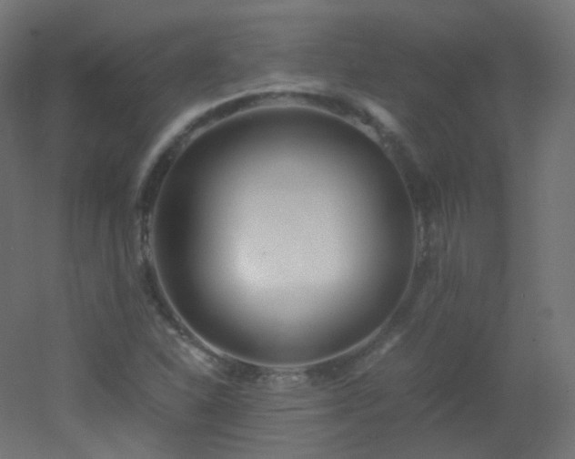 X0000053071310200507111208