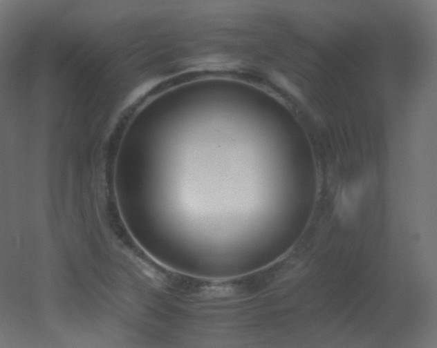 X0000053071315200507111208