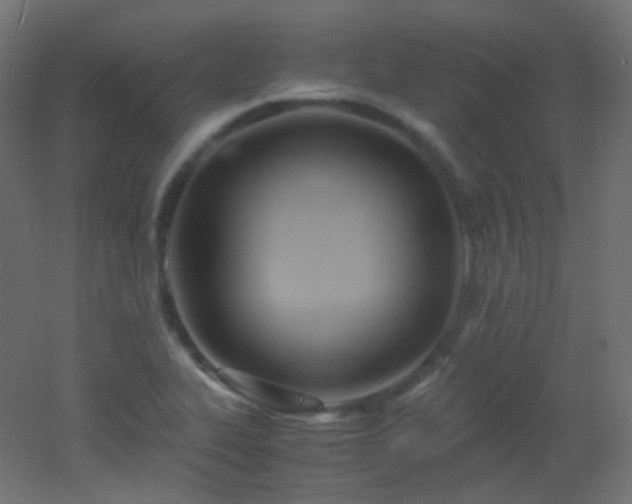 X0000053071319200507111208