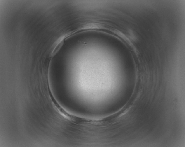 X0000053071337200507111208