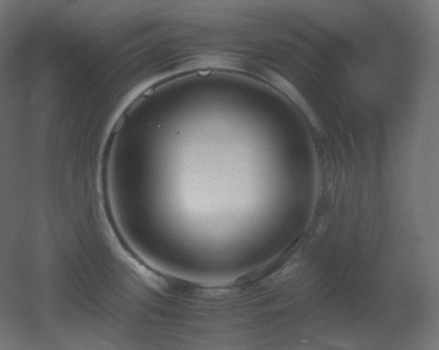 X0000053071339200507111208